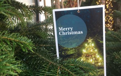 Weihnachten. Bei etwa 28 Grad im Schatten.