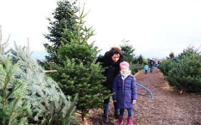 Meine ganz persönliche Weihnachtsgeschichte…