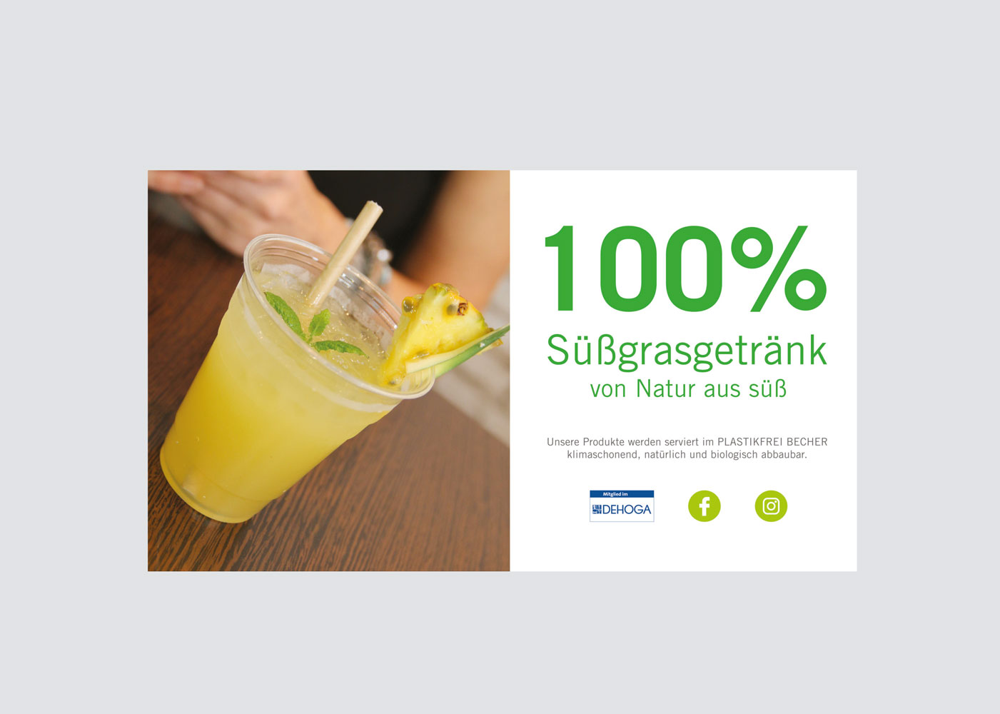 07-Papagayo-Tropical-CorporateDesign-MG-3