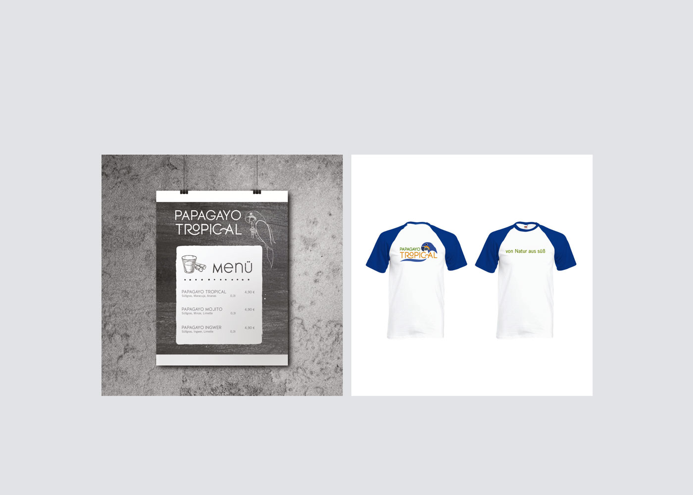 07-Papagayo-Tropical-CorporateDesign-MG-4